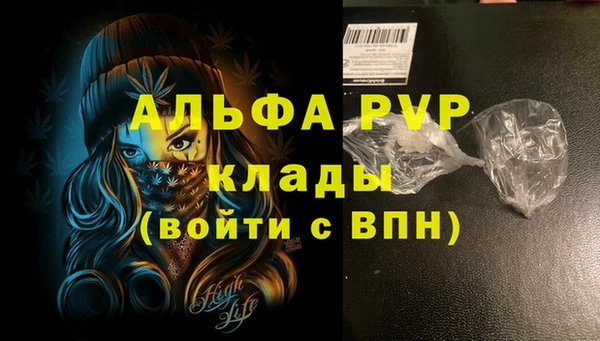 стафф Беломорск