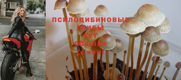 ALPHA PVP Белоозёрский