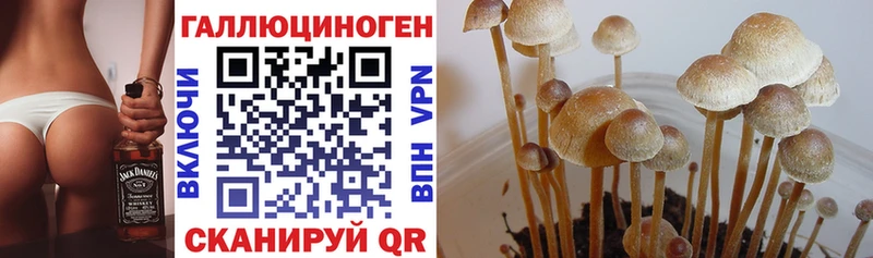 Псилоцибиновые грибы MAGIC MUSHROOMS  как найти   Вельск 