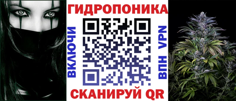 Бошки Шишки ГИДРОПОН  где купить наркоту  Вельск 